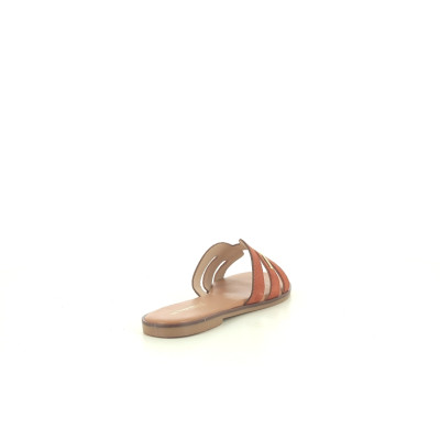 LES TROPEZIENNES HAMIGA F Orange