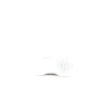 GEOX JR J45DZB ASSISTER BOY Marine