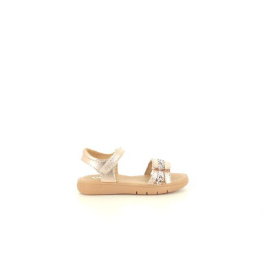 GBB OCEANE Rose