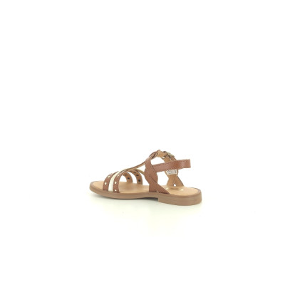 GBB ORKIDA Camel