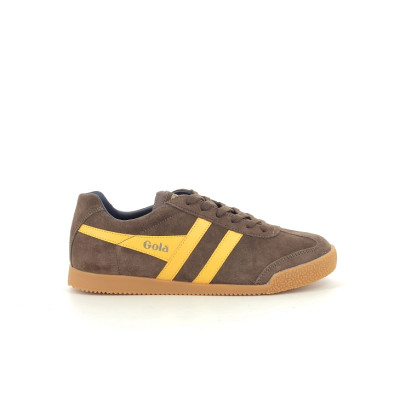 GOLA HARRIER Marron
