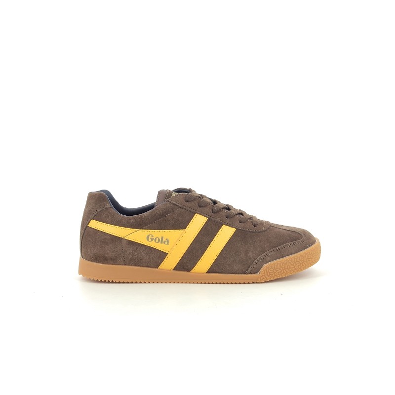 GOLA HARRIER Marron