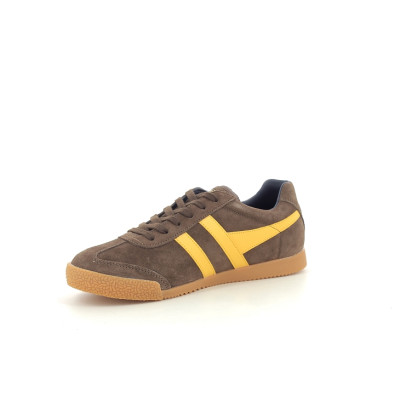 GOLA HARRIER Marron