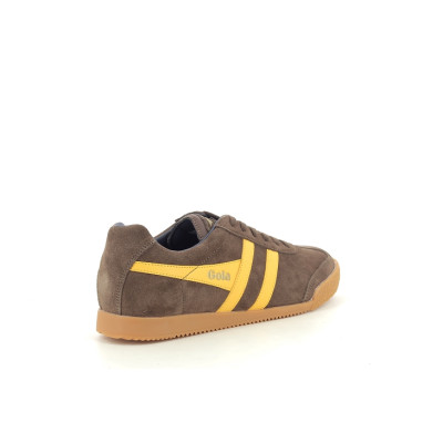 GOLA HARRIER Marron