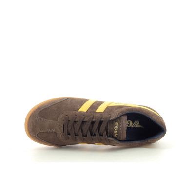 GOLA HARRIER Marron