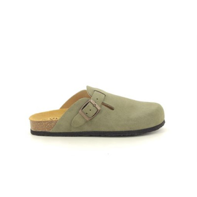 PLAKTON BLOG 151159 Kaki