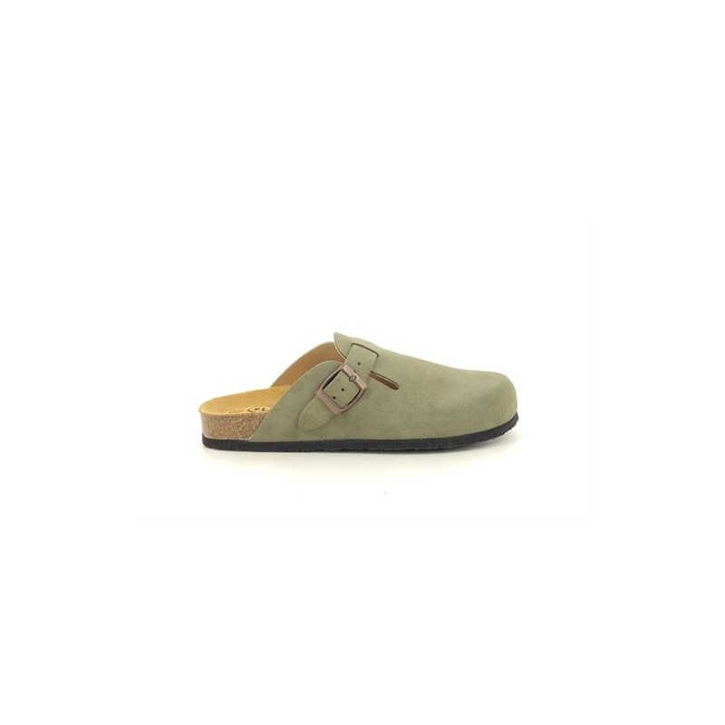 PLAKTON BLOG 151159 Kaki
