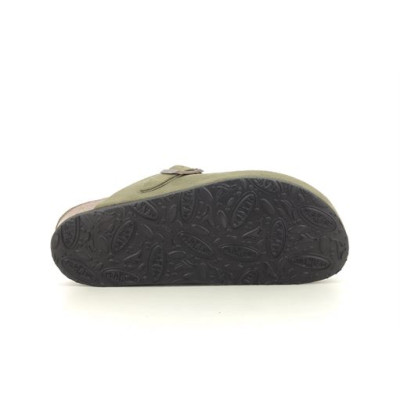 PLAKTON BLOG 151159 Kaki