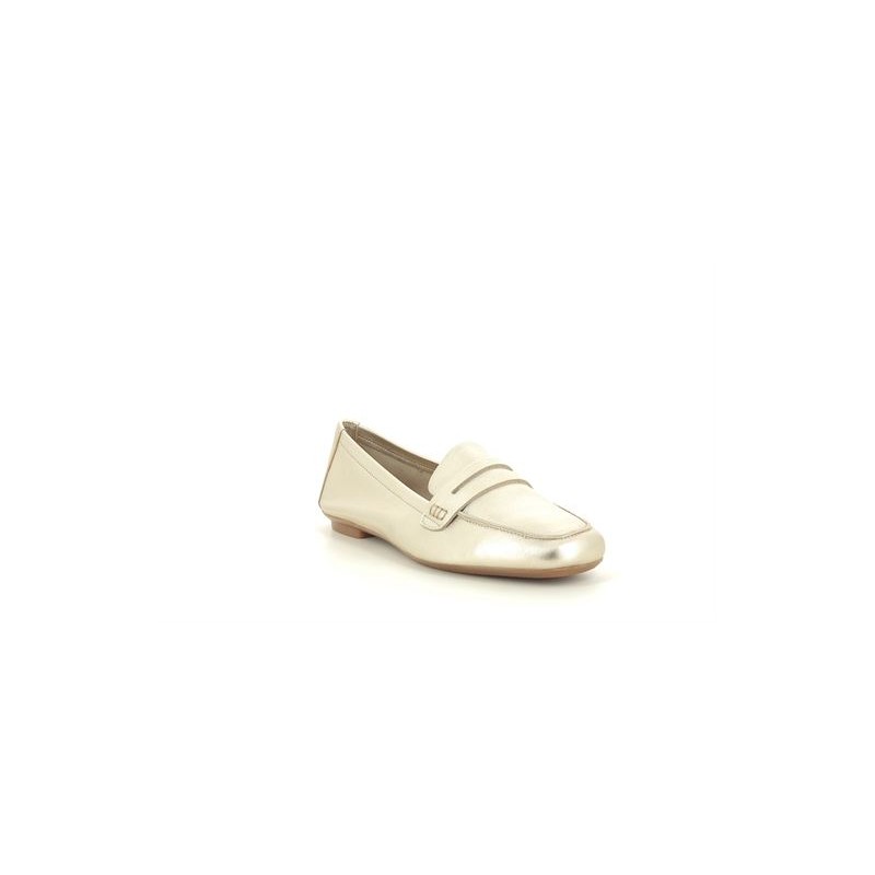 REQINS HEMA Champagne
