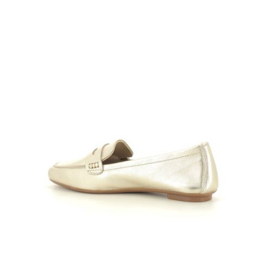 REQINS HEMA Champagne
