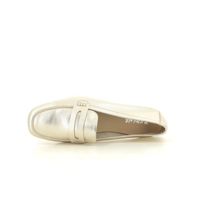 REQINS HEMA Champagne