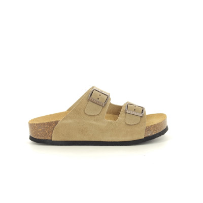 PLAKTON CP BETA Tan