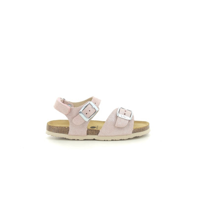 PLAKTON PALMA G Rose