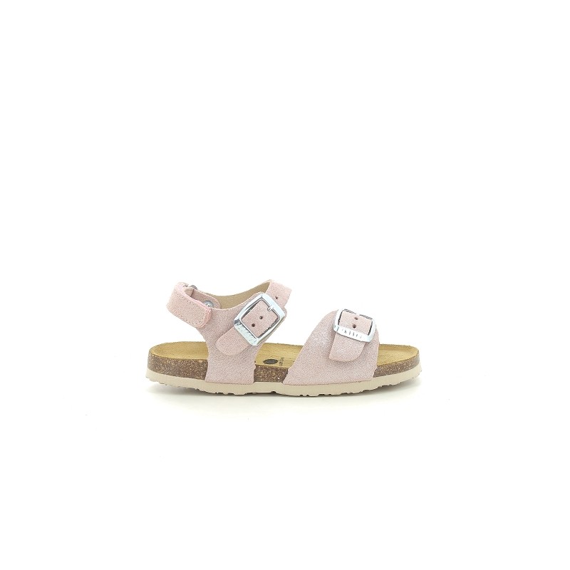 PLAKTON PALMA G Rose