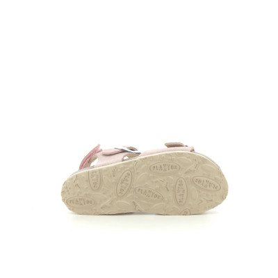 PLAKTON PALMA G Rose