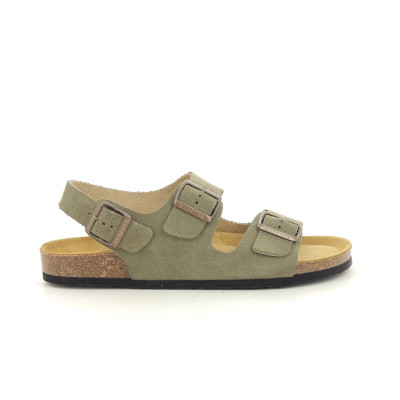 PLAKTON BAKU Kaki