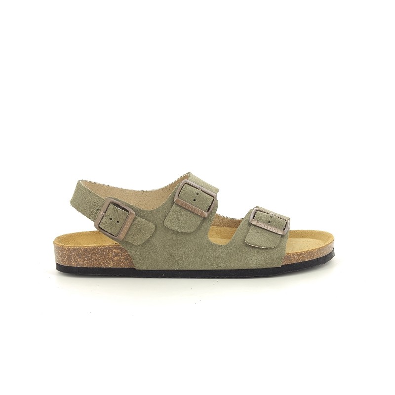 PLAKTON BAKU Kaki