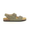 PLAKTON BAKU Kaki