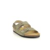 PLAKTON BAKU Kaki