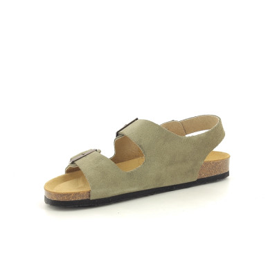 PLAKTON BAKU Kaki