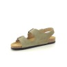 PLAKTON BAKU Kaki