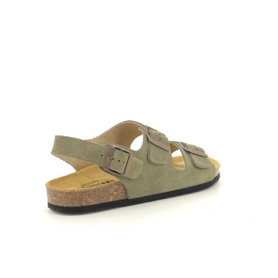 PLAKTON BAKU Kaki