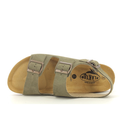 PLAKTON BAKU Kaki