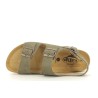 PLAKTON BAKU Kaki