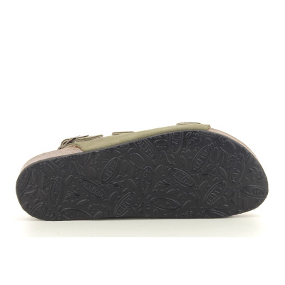 PLAKTON BAKU Kaki