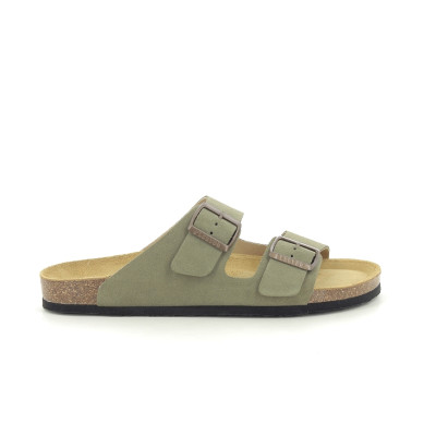 PLAKTON BARNA Kaki