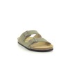 PLAKTON BARNA Kaki