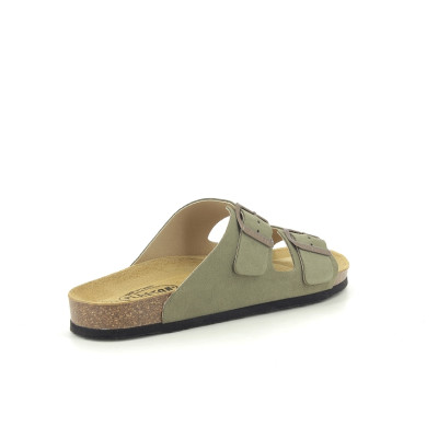 PLAKTON BARNA Kaki