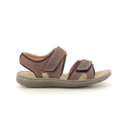 RICAP 10959 Marron