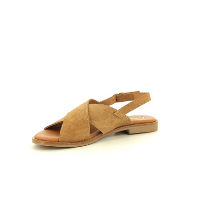CARLA TORTOSA 11662 Marron