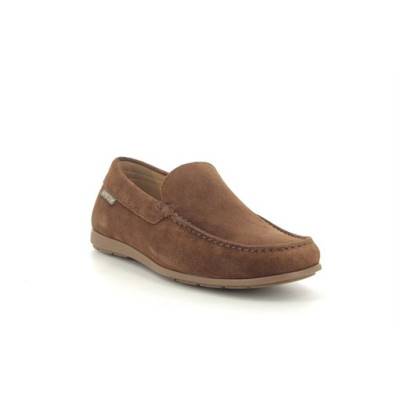 MEPHISTO ALGORAS Camel