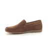 MEPHISTO ALGORAS Camel