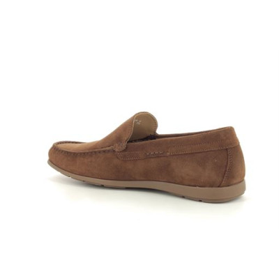 MEPHISTO ALGORAS Camel