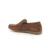 MEPHISTO ALGORAS Camel