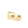 EVA FRUTOS 714 Platine