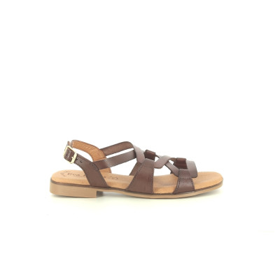 EVA FRUTOS 3080 Marron