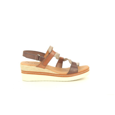 EVA FRUTOS 528 Multi
