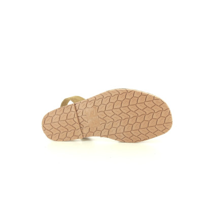 RIA 21224 H Marron