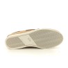 TBS PHENIS Camel