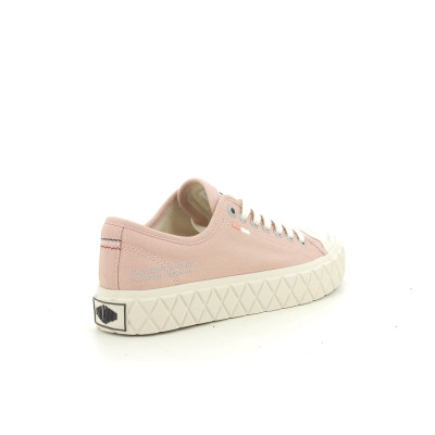 PALLADIUM PALLA  ACE STAR Rose