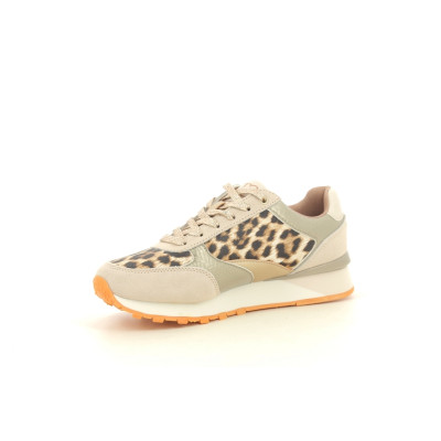 TEDDY SMITH 120 321 F Beige