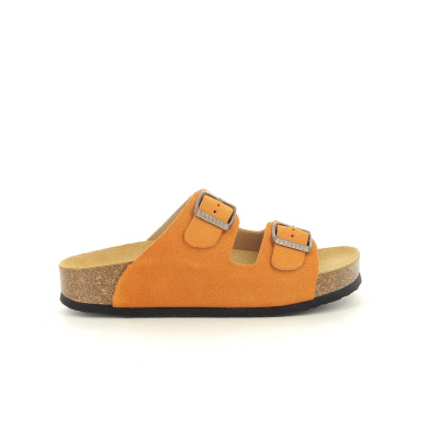 PLAKTON CP BETA Orange