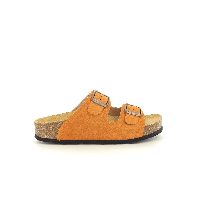 PLAKTON CP BETA Orange