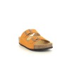 PLAKTON CP BETA Orange