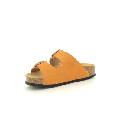 PLAKTON CP BETA Orange