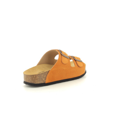 PLAKTON CP BETA Orange